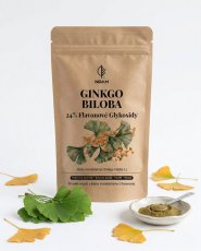 Ginkgo biloba 24% flavonové glykosidy prášek 50 g