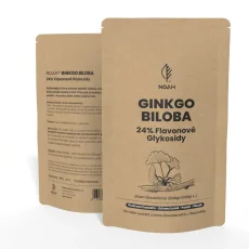 NOAH® GINKGO BILOBA 24% Flavonové Glykosidy