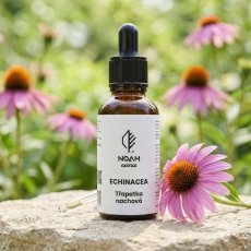 Echinacea kapky bez alkoholu
