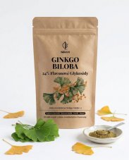 Ginkgo biloba 24% flavonové glykosidy prášek 50 g
