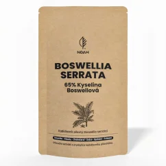 NOAH® BOSWELLIA SERRATA 65% Kyselina Boswellová