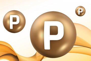Znáte vitamín P?