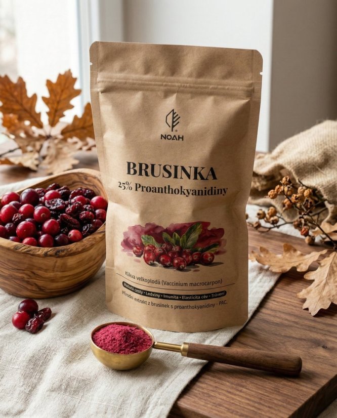 Brusinka 25% PAC prášek 50 g