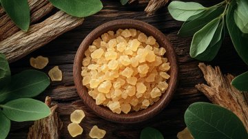 Boswellia – přírodní pomoc při zánětech a bolestech kloubů