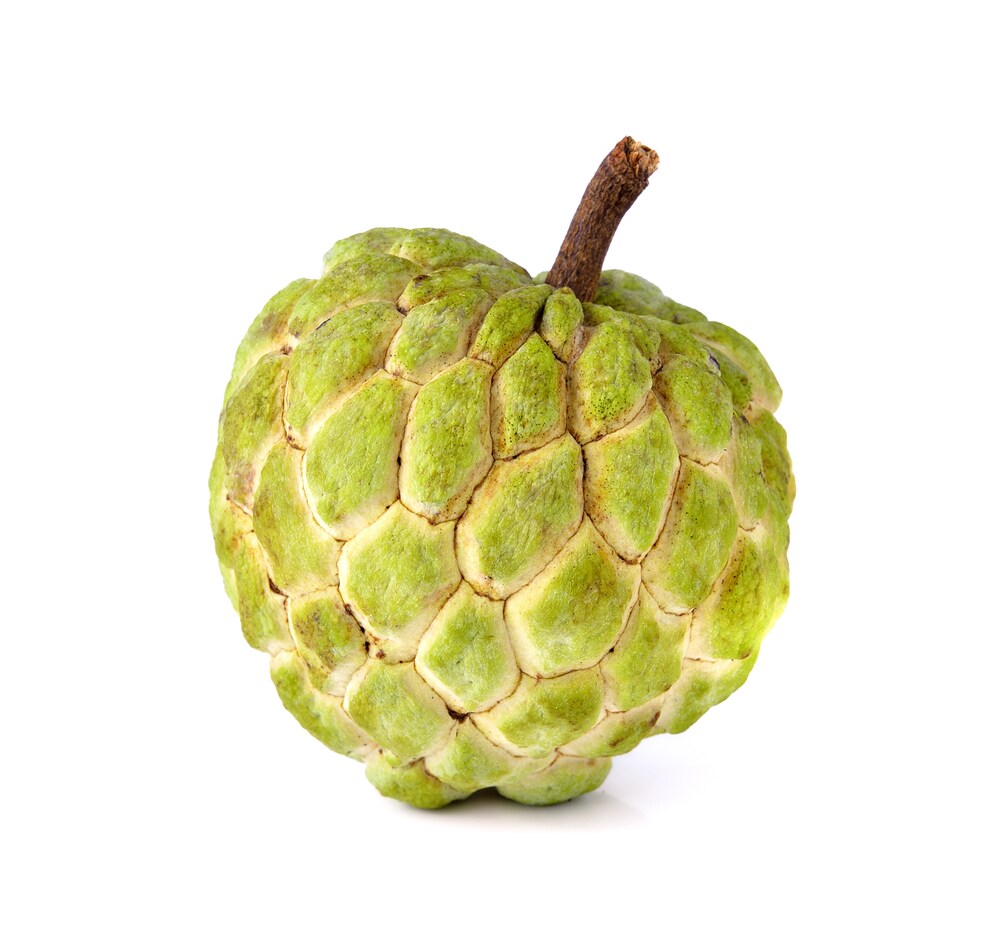 NOAH® GRAVIOLA
